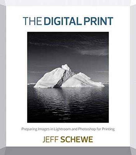 Cover for The Digital Print