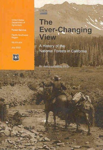 Cover for The ever-changing view