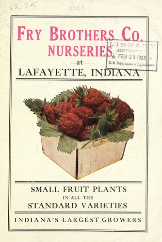 Cover for Small fruit plants in all the standard varieties