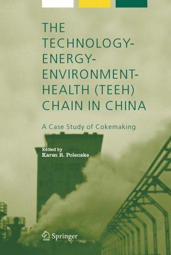 Cover for The Technology-Energy-Environment-Health (TEEH) Chain In China: A Case Study of Cokemaking (Alliance for Global Sustainability Bookseries)