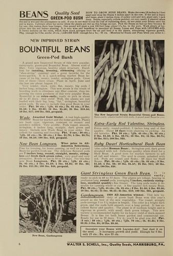 Cover for Schell's quality seeds 1959