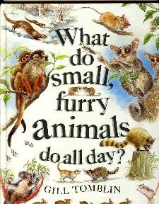 Cover for What Do Small, Furry Animals Do All Day?