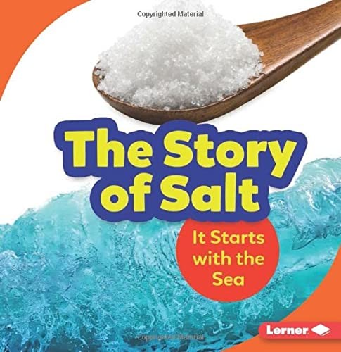Cover for Story of Salt