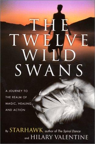 Cover for The Twelve Wild Swans