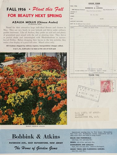 Cover for Fall 1956, plant this fall for beauty next spring