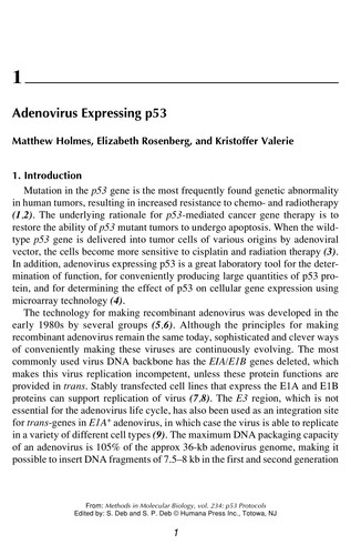 Cover for p53 protocols