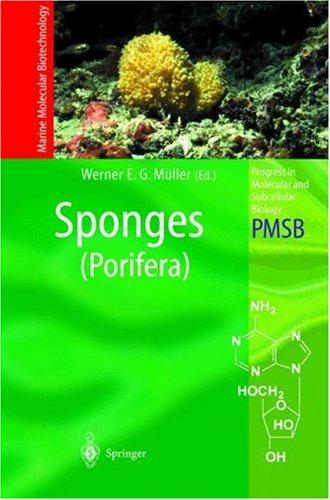Cover for Sponges (Porifera) (Progress in Molecular and Subcellular Biology / Marine Molecular Biotechnology)