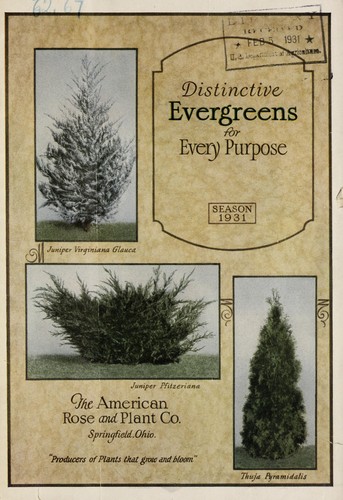 Cover for Distinctive evergreens for every purpose