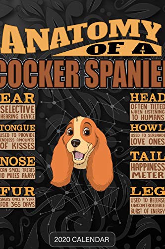 Cover for Anatomy Of A Cocker Spaniel