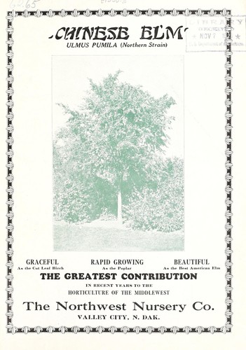 Cover for Chinese elm, Ulmus pumila (Northern strain)