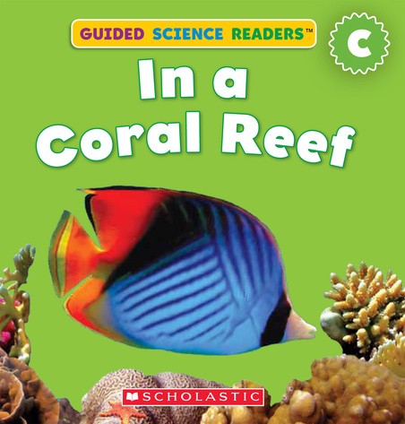 Cover for In A Coral Reef