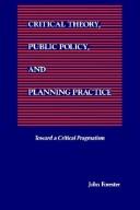 Cover for Critical theory, public policy, and planning practice