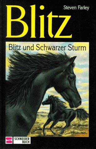 Cover for Blitz, Bd.15, Blitz und Schwarzer Sturm