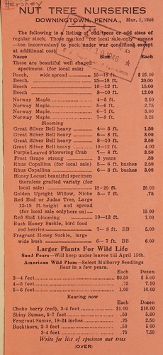 Cover for ... Listing of odd trees, or odd sizes of regular stock, Mar. 1, 1946 / Nut Tree Nurseries
