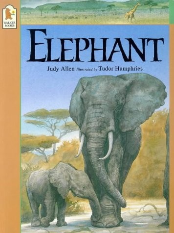 Cover for Elephant
