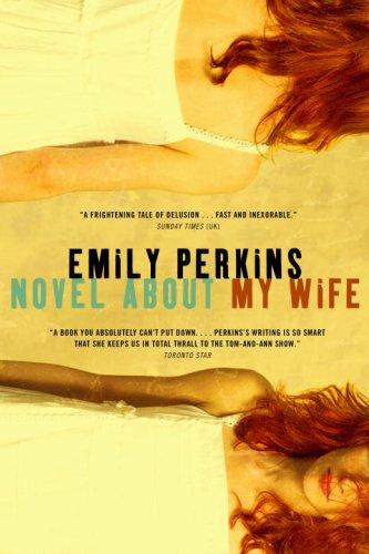 Cover for Novel About My Wife