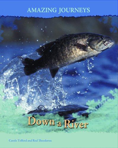Cover for Down a River (Amazing Journeys/2nd Edition)