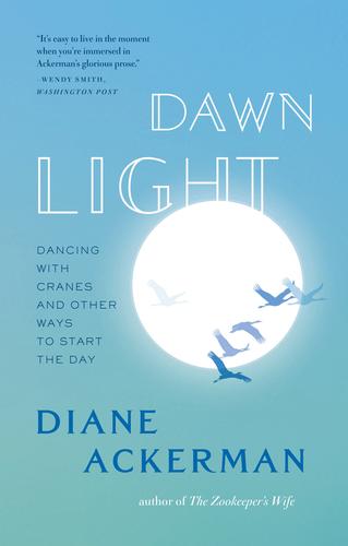 Cover for Dawn Light