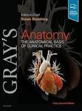 Cover for Gray's Anatomy