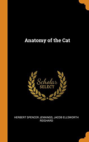 Cover for Anatomy of the Cat