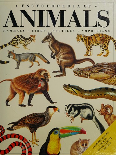 Cover for Encyclopedia of Animals
