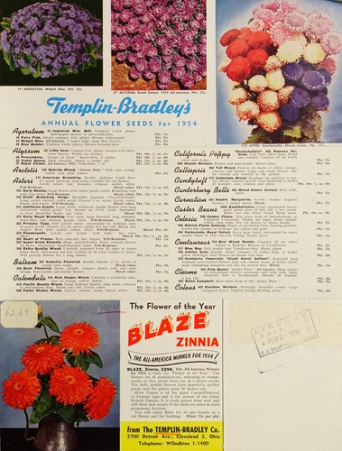 Cover for The Flower of the year, Blaze zinnia