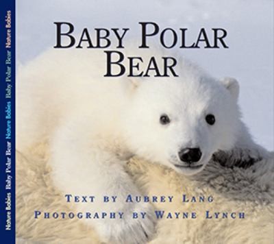 Cover for Baby Polar Bear