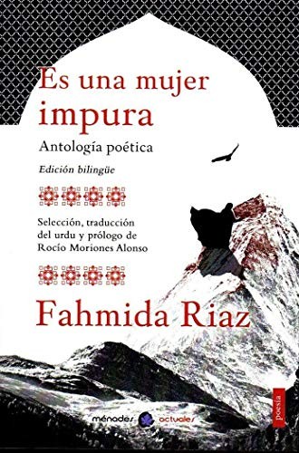 Cover for Es una mujer impura