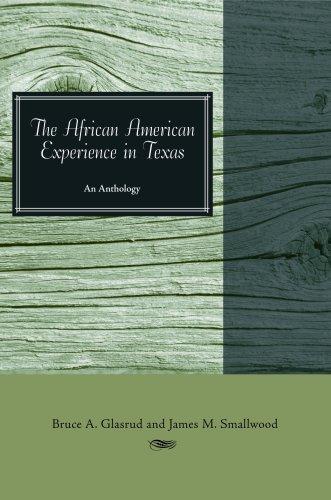 Cover for The African American Experience in Texas