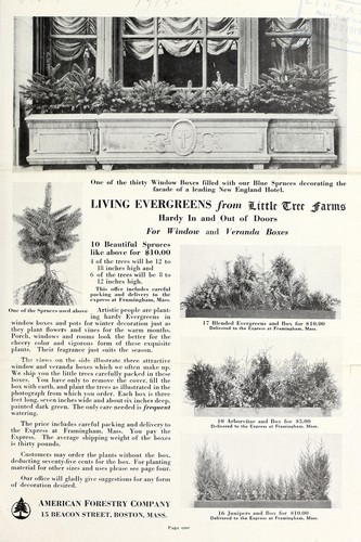 Cover for Living evergreens from Little Tree Farms