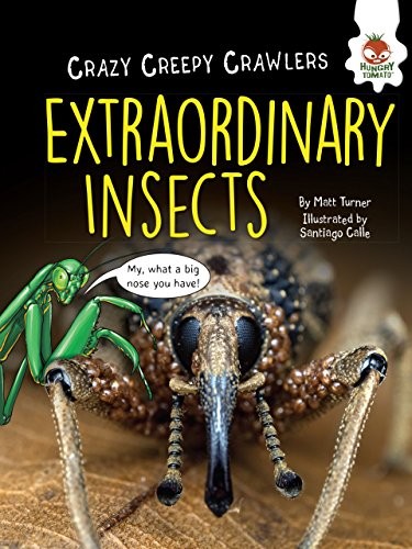 Cover for Extraordinary Insects