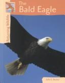 Cover for Returning Wildlife - The Bald Eagle (Returning Wildlife)