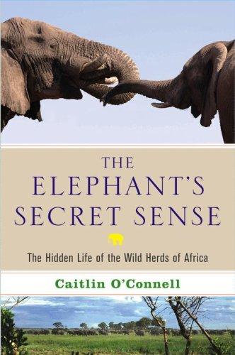 Cover for The Elephant's Secret Sense