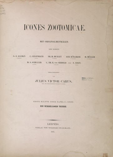 Cover for Icones zootomicae