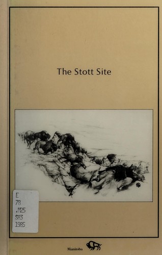 Cover for The Stotte site