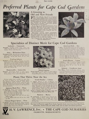 Cover for Preferred plants for Cape Cod gardens