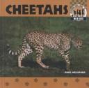 Cover for Cheetahs
