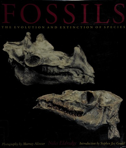 Cover for Fossils