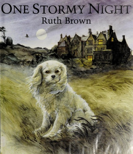 Cover for One stormy night