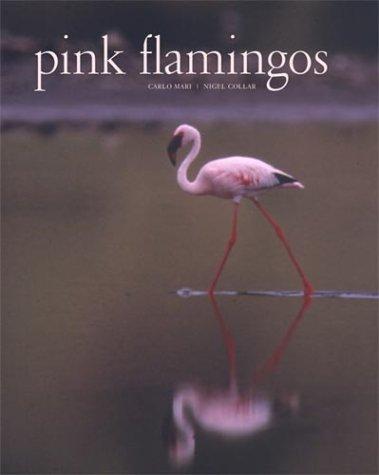 Cover for Pink Flamingos
