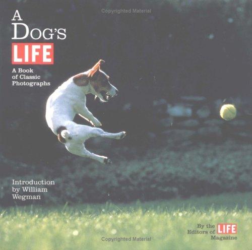 Cover for A Dog's Life