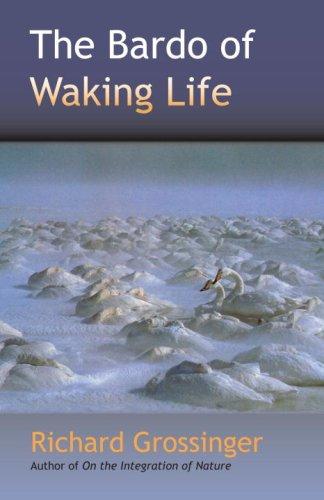 Cover for The Bardo of Waking Life
