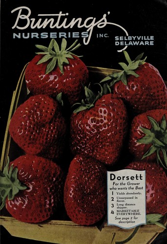 Cover for Spring catalog, 1936