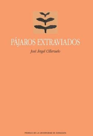 Cover for Pájaros extraviados
