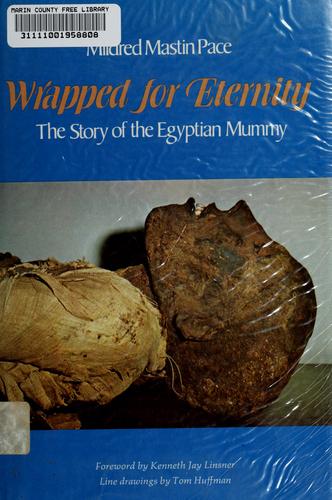 Cover for Wrapped for eternity