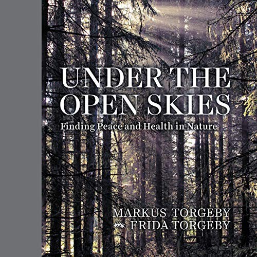 Cover for Under the Open Skies