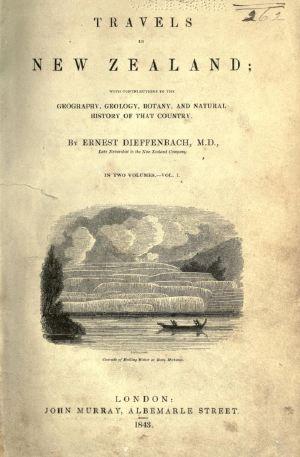 Cover for Travels in New Zealand