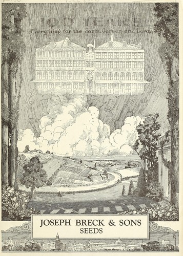 Cover for 100 years