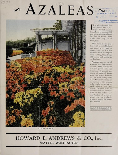 Cover for Azaleas