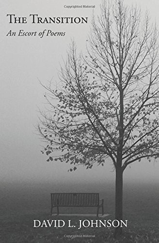 Cover for The Transition